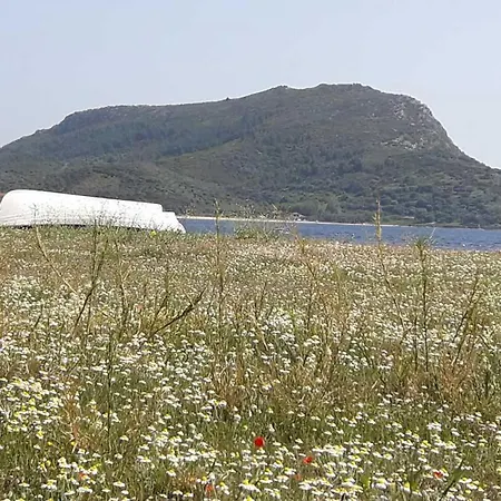 Cn Ferienhaus