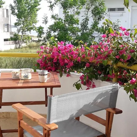 Cn Studio-apartment Toroni